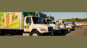 The Green Truck Moving & Storage