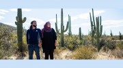 Best Tucson Movers