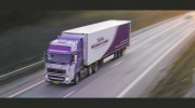 Noah's Ark Moving & Storage