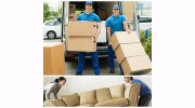 Big Bear Movers