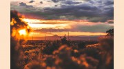Las Cruces Moving & Storage