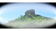 Castle Rock Moving Services