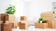 Two Thumbs Up Movers