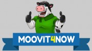 Moovit4Now